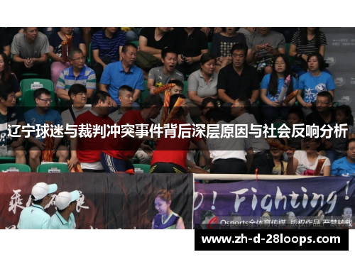 辽宁球迷与裁判冲突事件背后深层原因与社会反响分析 辽宁球迷与裁判冲突事件背后深层原因与社会反响分析